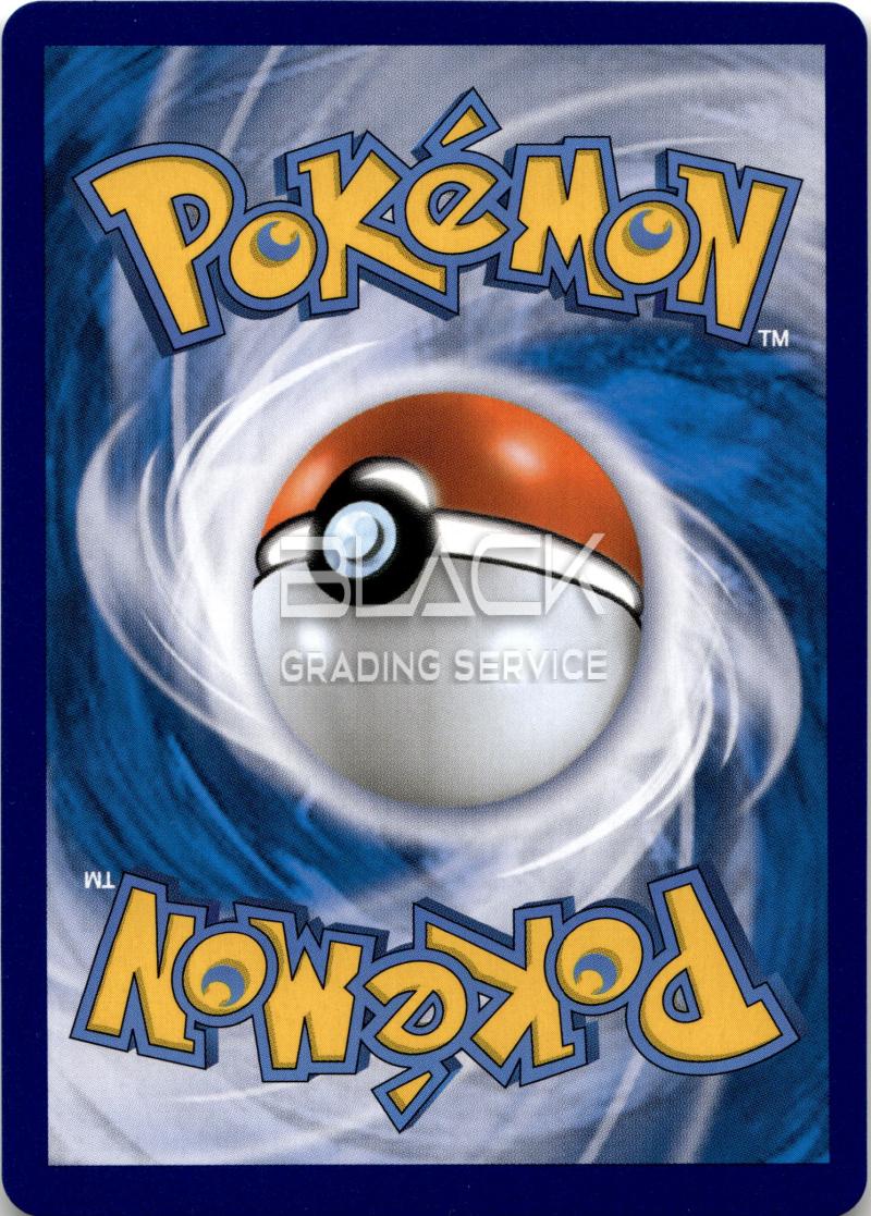 Back - Pokemon SWSH KO EEVEE HEROES