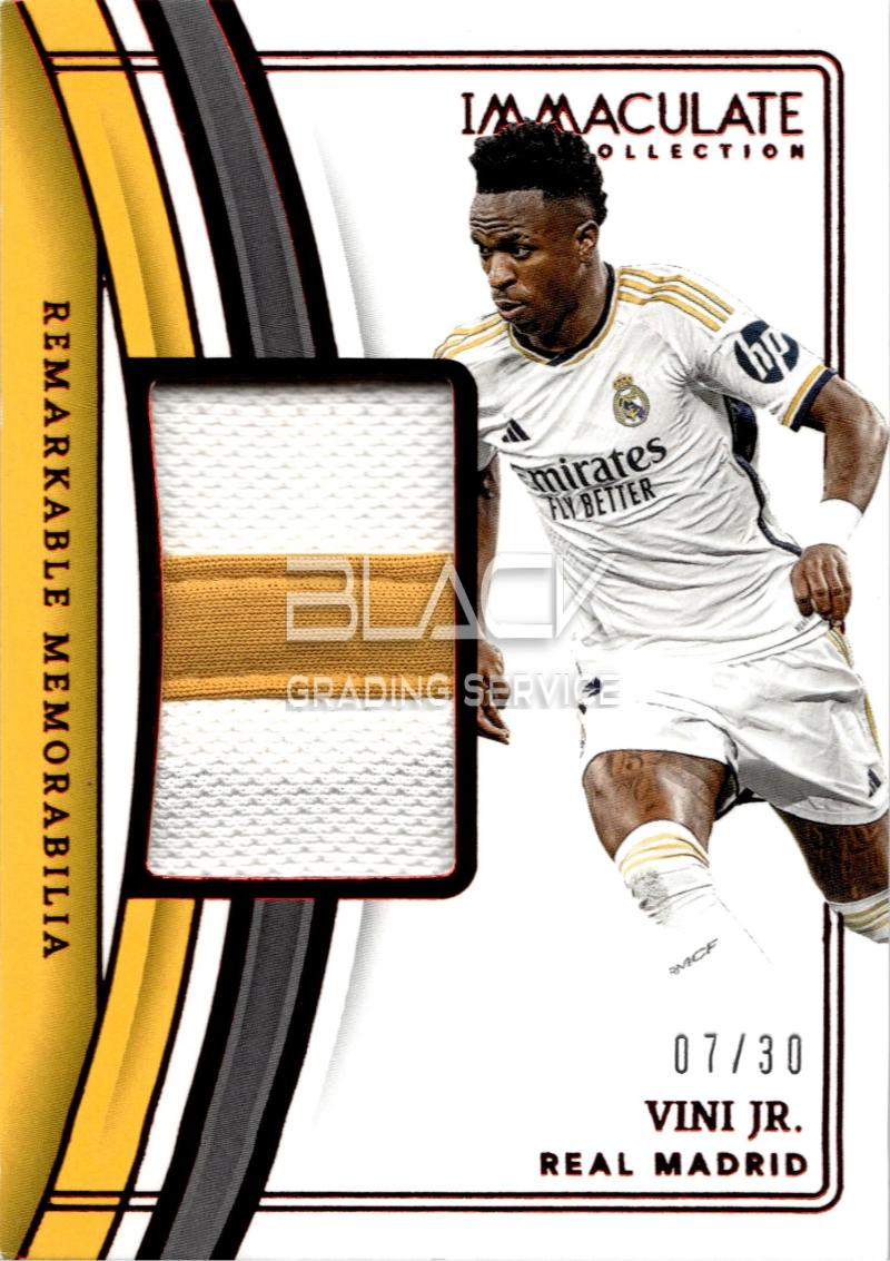 Panini Immaculate Collection