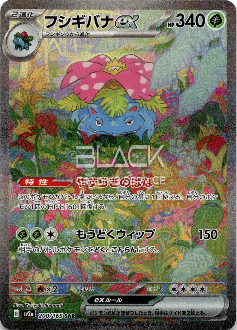 Pokemon S&V JP