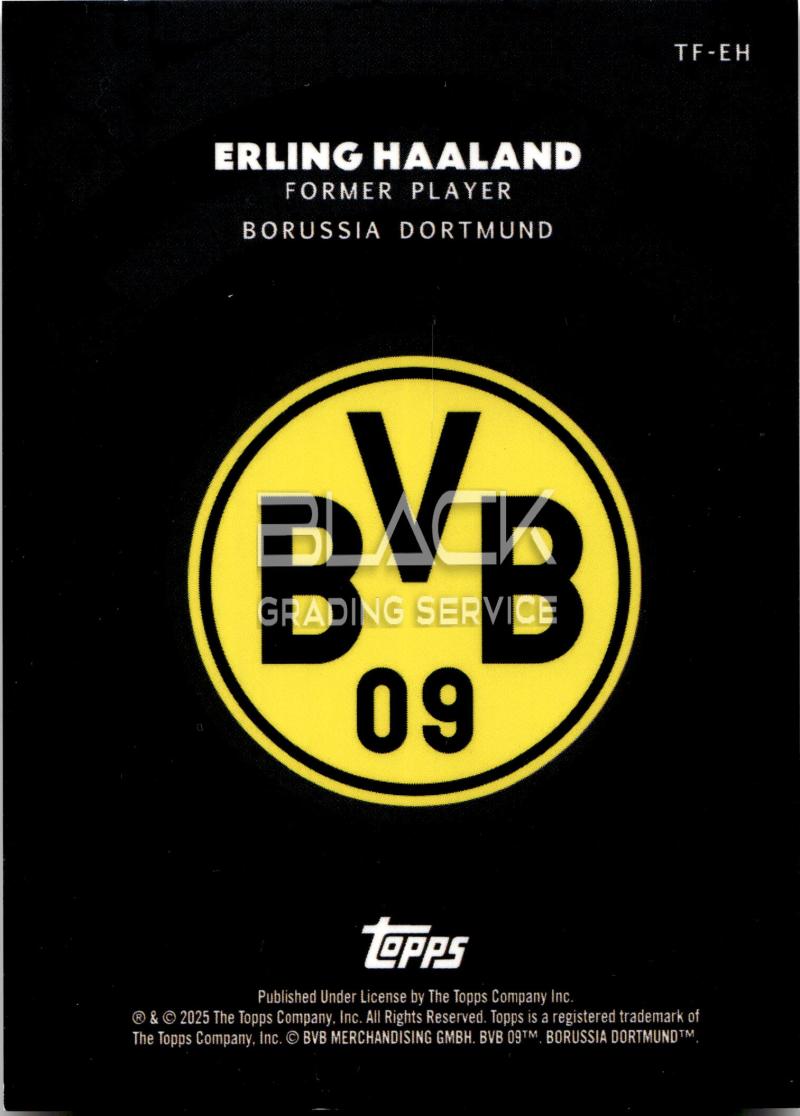 Back - Topps Focus Borussia Dortmund