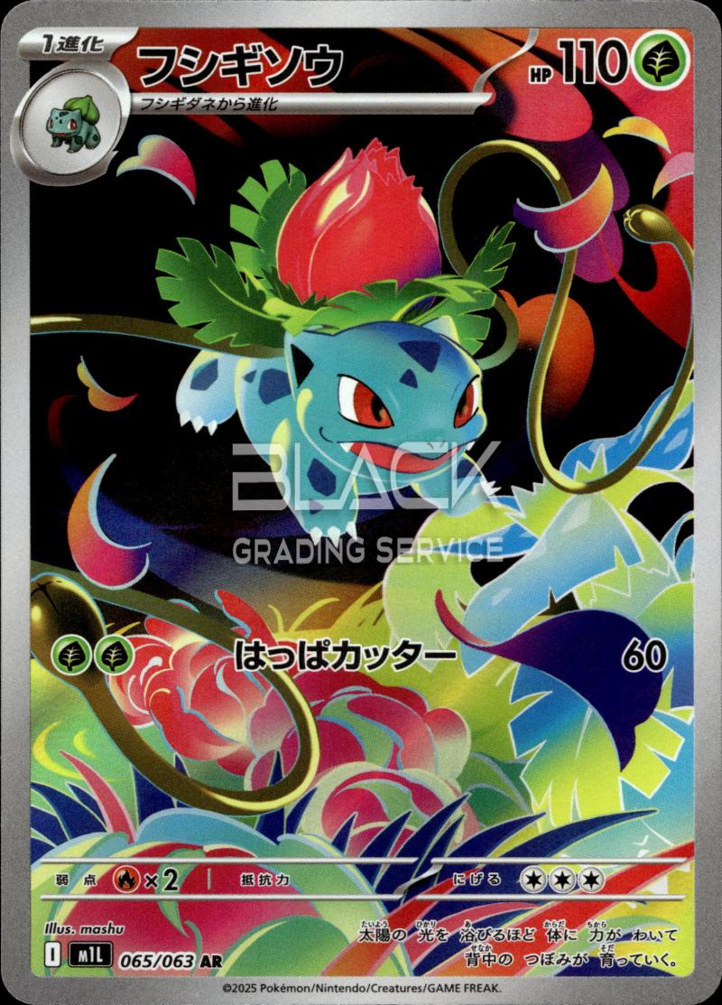 Pokemon m1l JP Mega Brave
