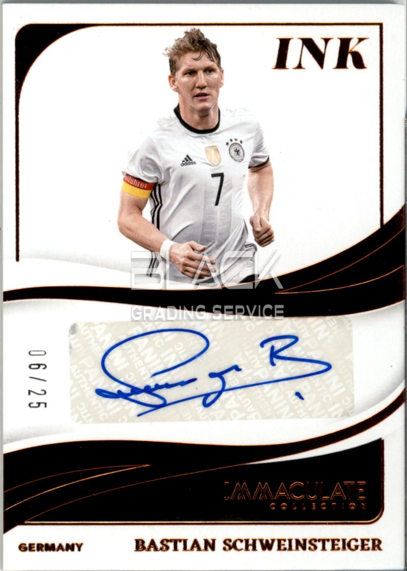 Panini Immaculate