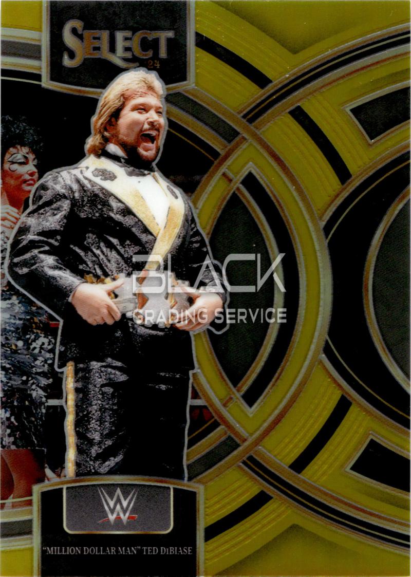 Panini Select WWE