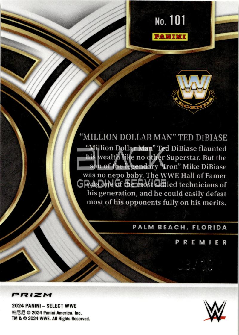 Rückseite – Panini Select WWE