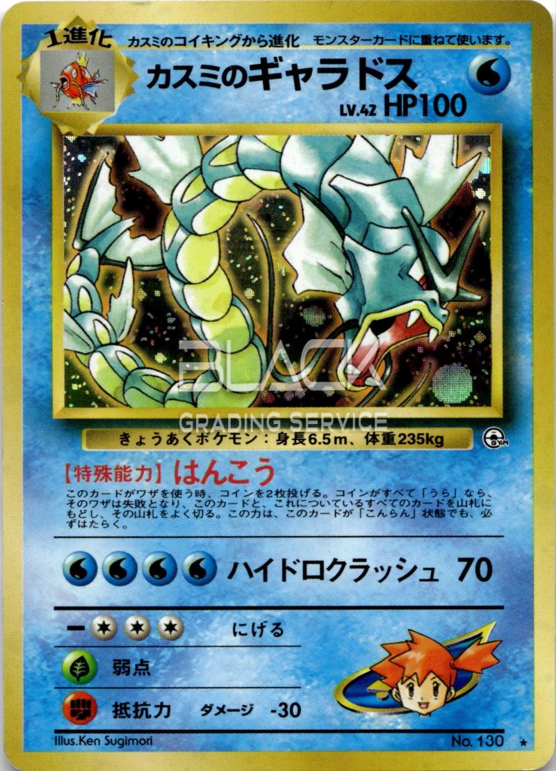 Pokemon GYM JP Leader's Stadium