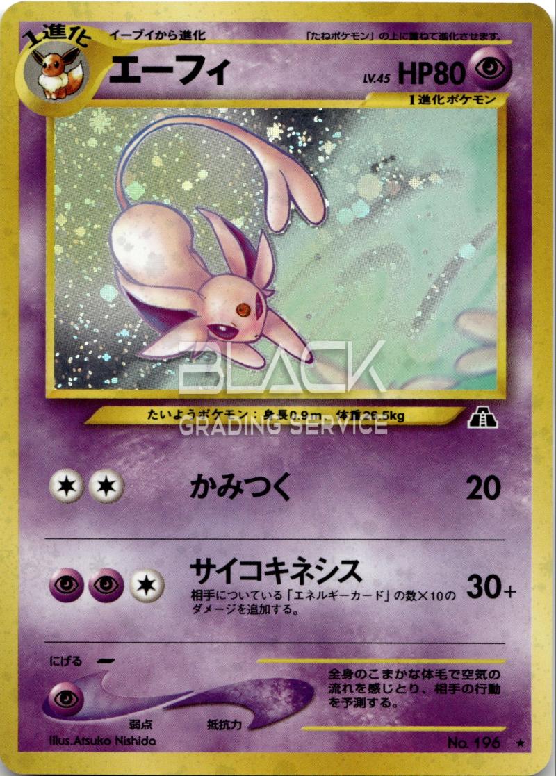 Pokemon Japanese Crossing the Ruins