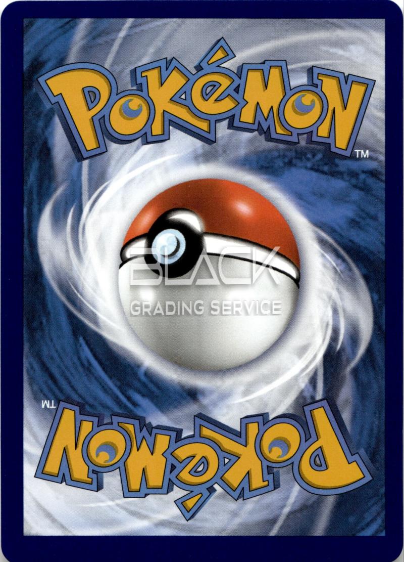 Back - Pokemon SWSH EN Silver Tempest